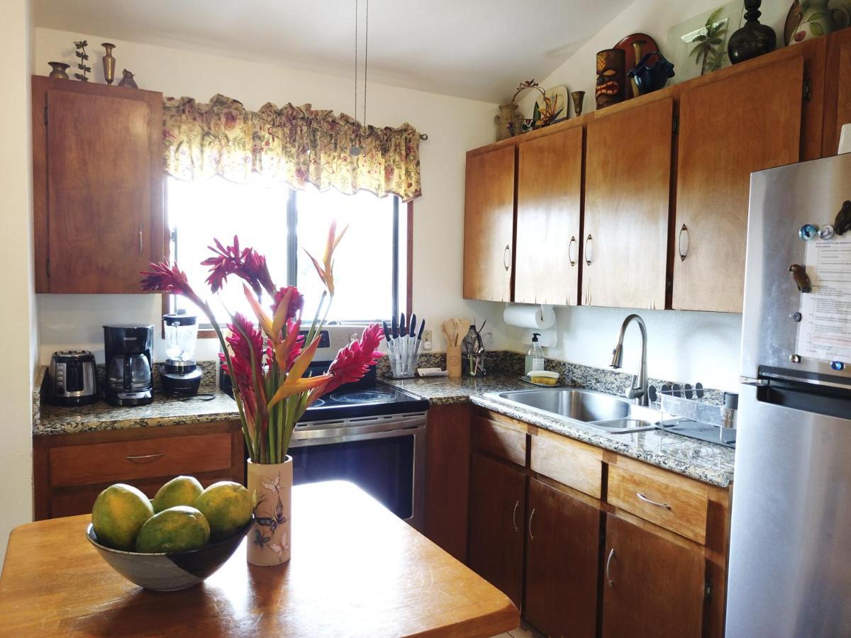 Hawaiian Ohana Home Hilo Exteriér fotografie