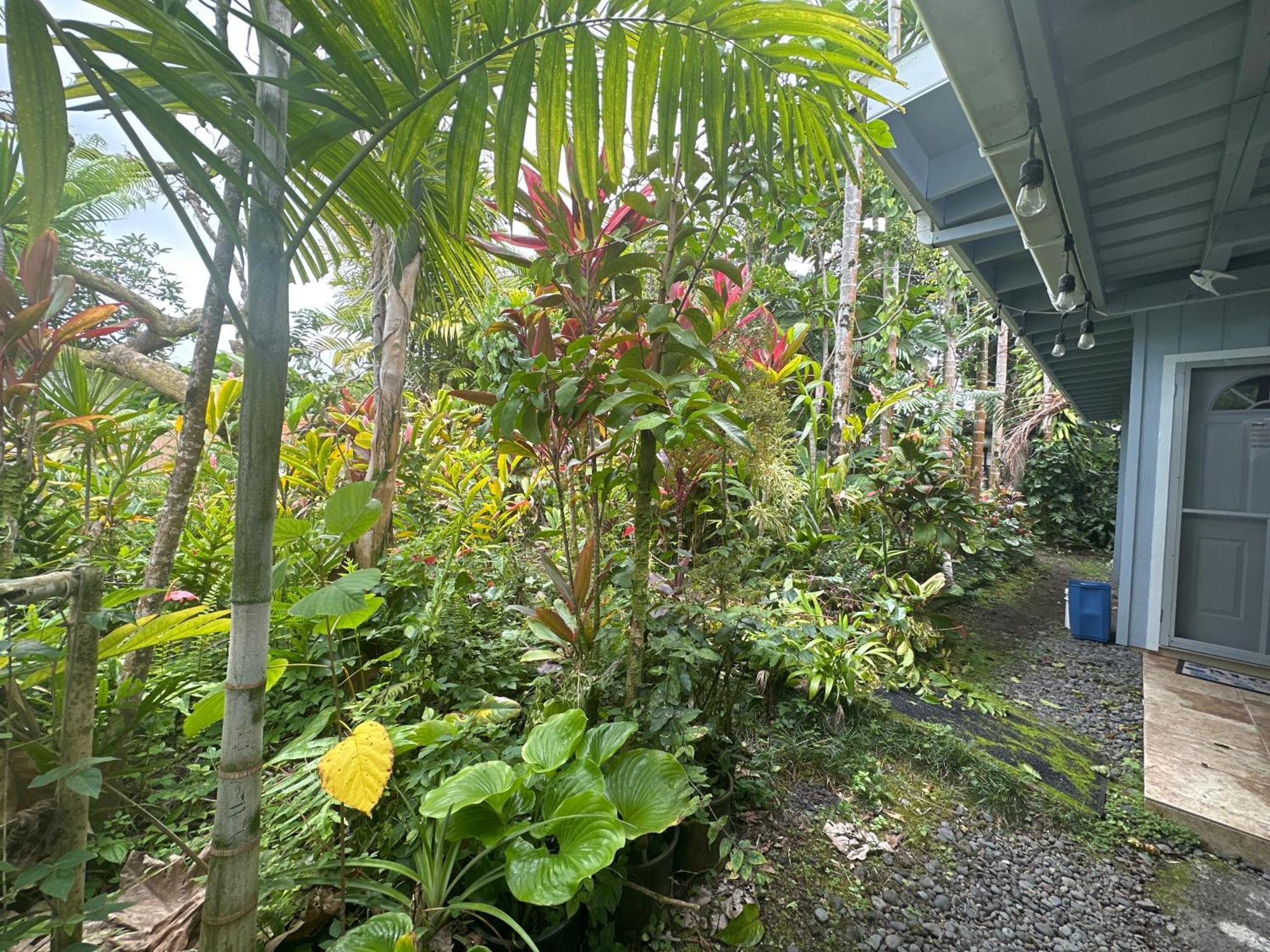 Hawaiian Ohana Home Hilo Exteriér fotografie