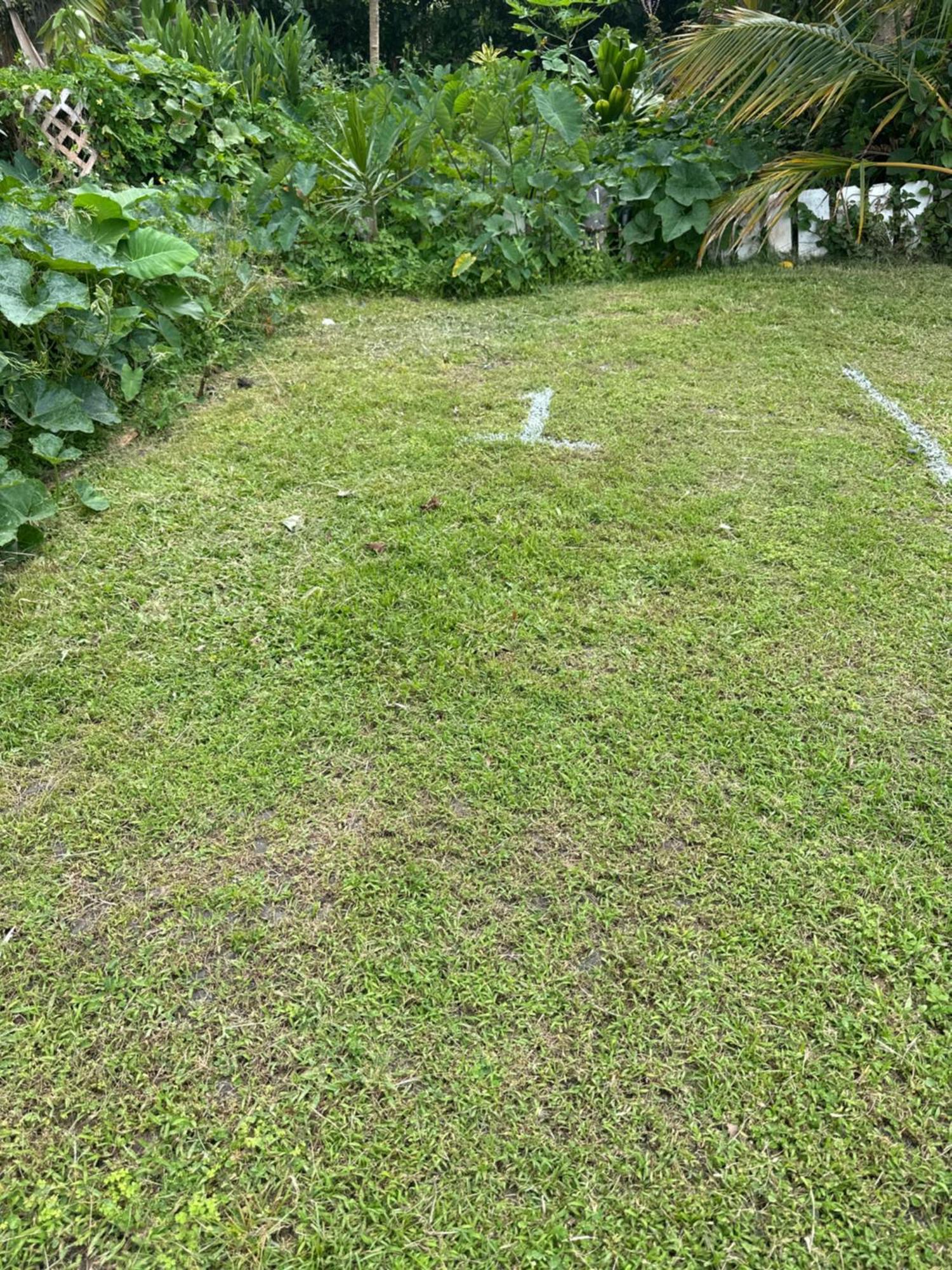 Hawaiian Ohana Home Hilo Exteriér fotografie