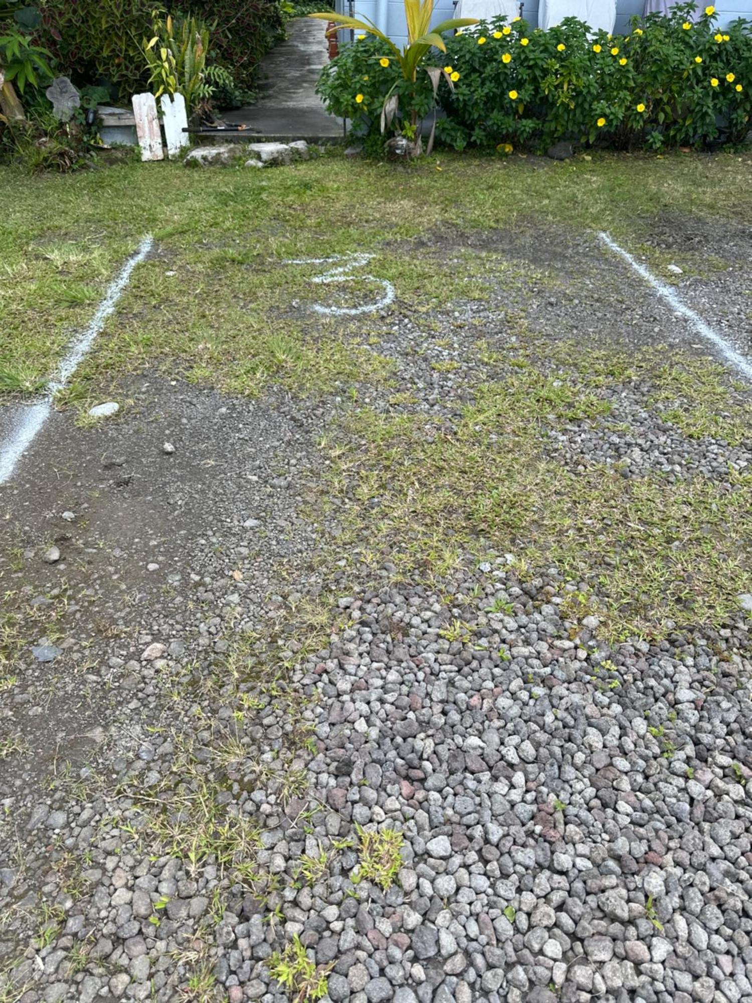 Hawaiian Ohana Home Hilo Exteriér fotografie
