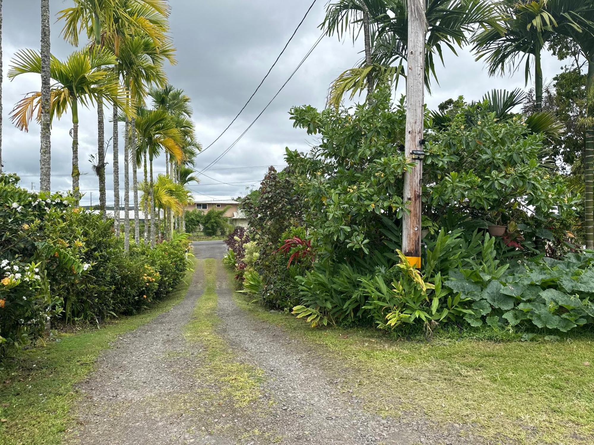 Hawaiian Ohana Home Hilo Exteriér fotografie