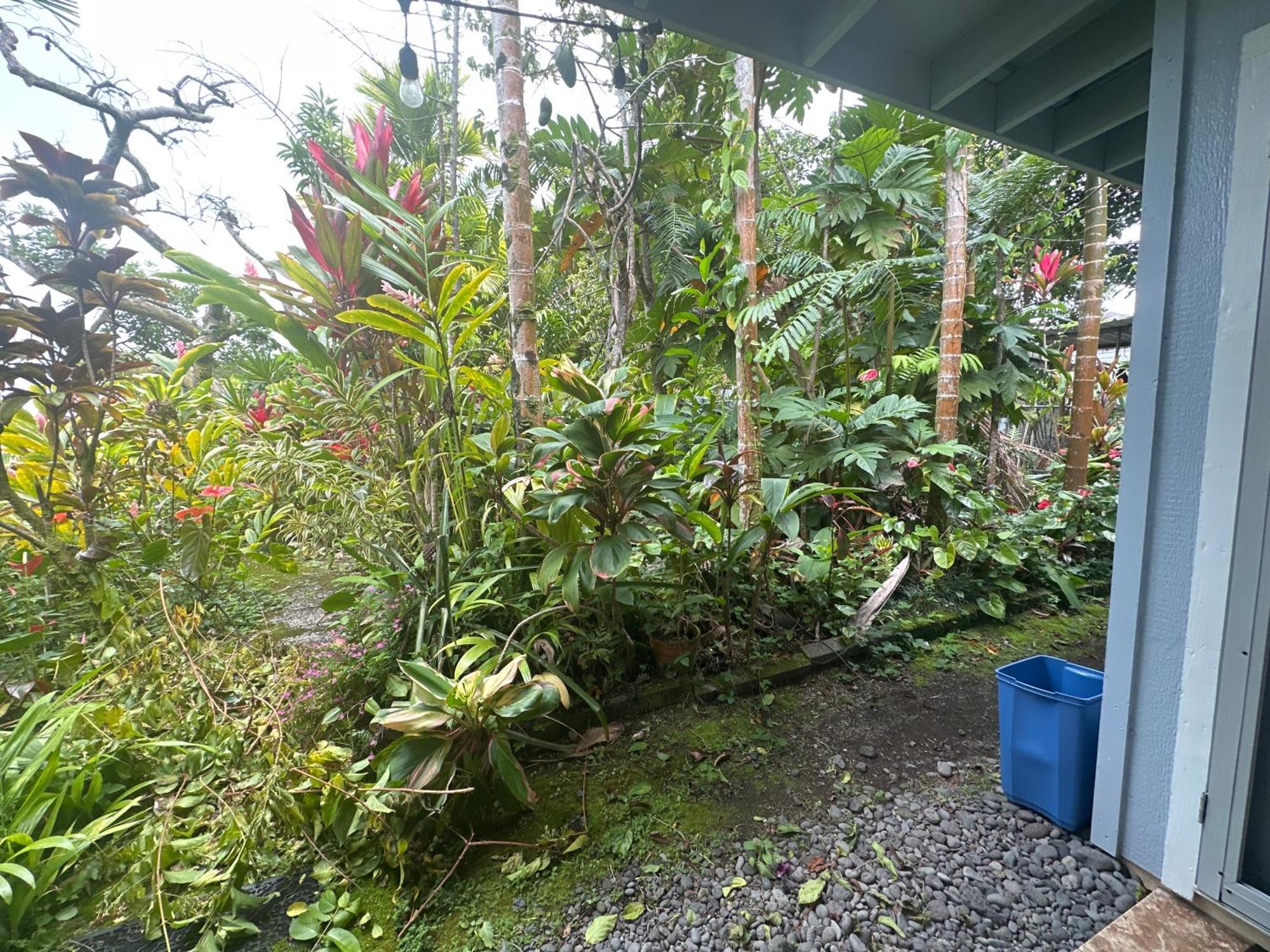 Hawaiian Ohana Home Hilo Exteriér fotografie