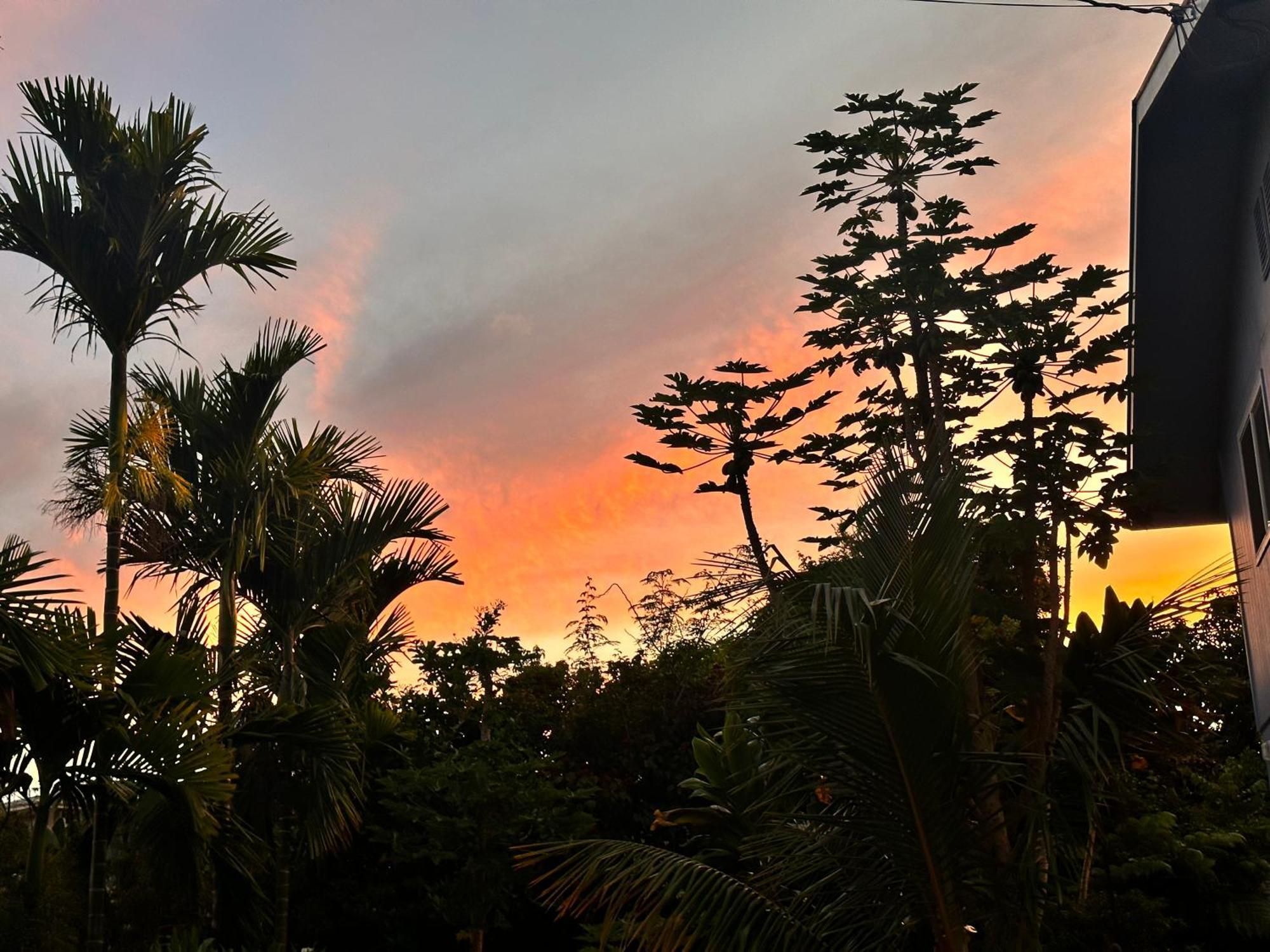Hawaiian Ohana Home Hilo Exteriér fotografie